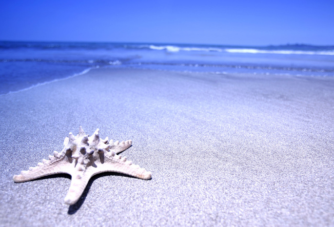 море, вода, Звезда, песок