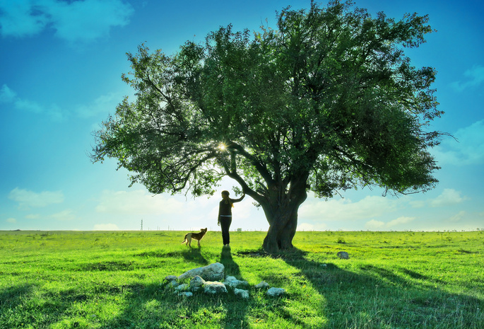 девочка, sky, , clouds, girl, собака, tree, дерево, Dog, teen, nature, landscape