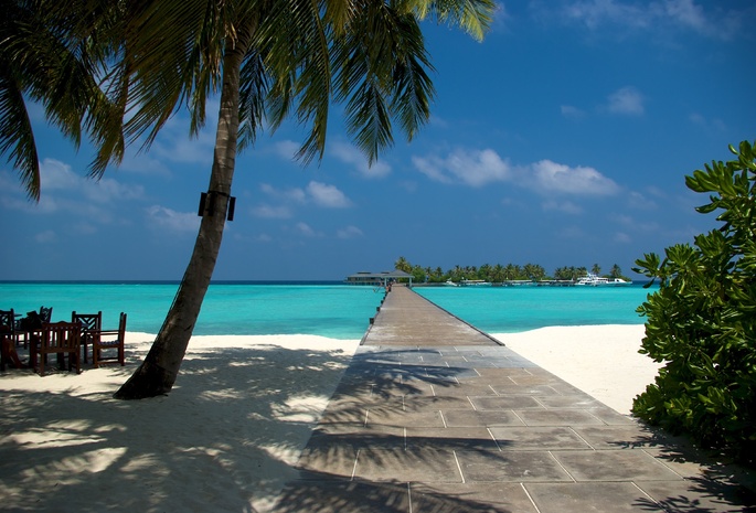 океан, пляж, Мальдивы, лето, песок, пальмы