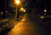 фонарь, Ночь, парк, дорожка, скамейка