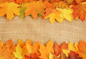 осень, яркие краски, Листья, прожилки