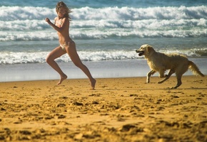 собака, Игра, пляж