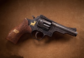 Dan, magnum revolver, wesson, d11