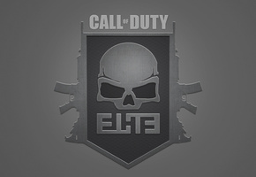 elite, Call of duty, multiplayer, череп, mw3