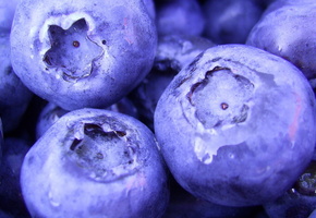 food, blueberry, Еда, черника, berries, ягоды, 1920x1080, макро, macro