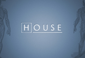 хаус, телесериал, House, m.d.