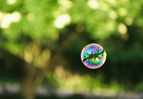 мыльный, пузырь, зелень, Фото, шар, отражение