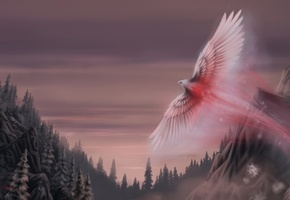 art, снежный феникс, fantasy, крылья, Snow phoenix, птица, oliverford