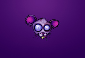 crazy, бешенство, голова, Mad, фиолетовый, мышь