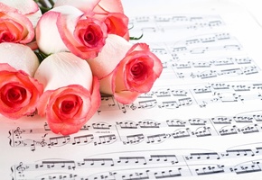 Music, Roses