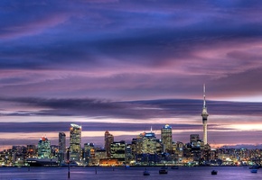 skyscrapers, city center, sky, city, окленд, new zealand, sky tower, Auckland, harbour