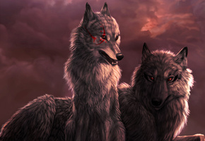 dark_sheyn, волчица, волк, закат, облака, Art
