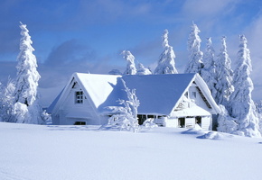 дом, снег, красиво, зима, деревья, лес
