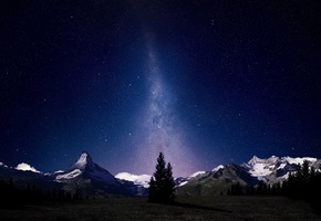 Альпы, ночь, млечный путь, горы, звезды, лес