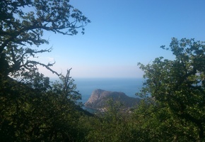 Крым, природа, лето, вид, гора, растительность, деревья, море, горизонт, утро, фото